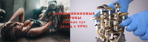 ГАЛЛЮЦИНОГЕННЫЕ ГРИБЫ Горнозаводск
