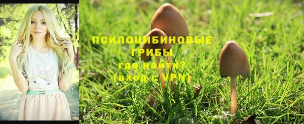 ГАЛЛЮЦИНОГЕННЫЕ ГРИБЫ Горнозаводск