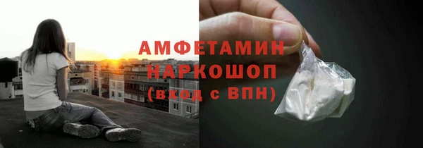 ГАЛЛЮЦИНОГЕННЫЕ ГРИБЫ Горно-Алтайск
