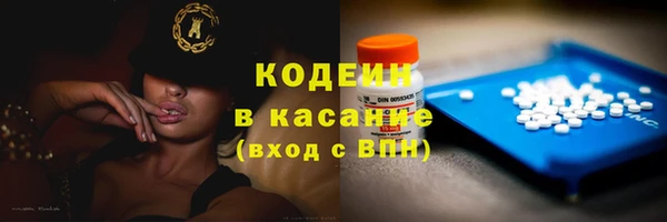 ГАЛЛЮЦИНОГЕННЫЕ ГРИБЫ Горно-Алтайск