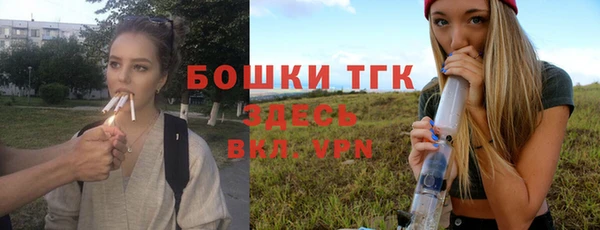 таблы Горняк