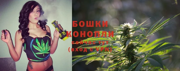 таблы Горняк